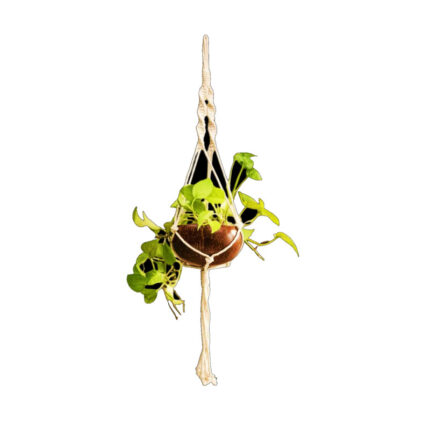 Coconut hanging planter