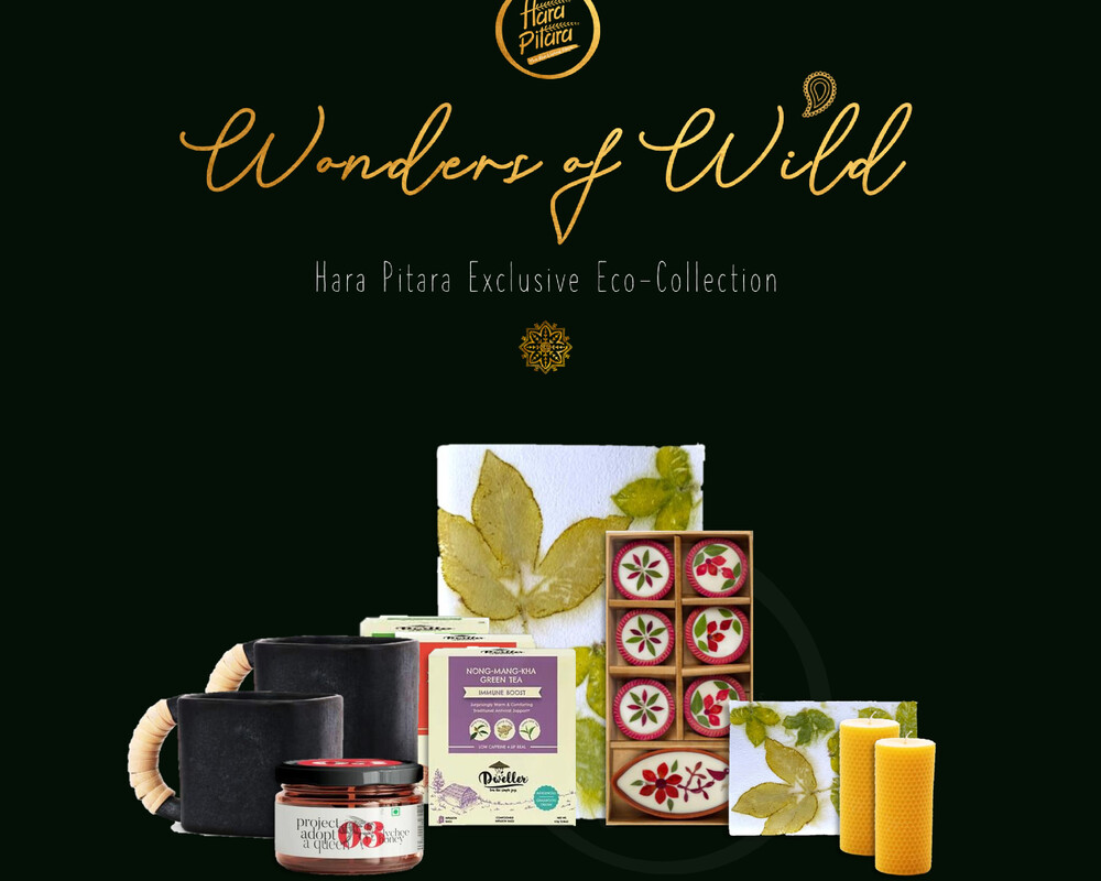 Wonders of Wild